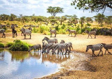 Practical-Information-For-Tanzania-Safari