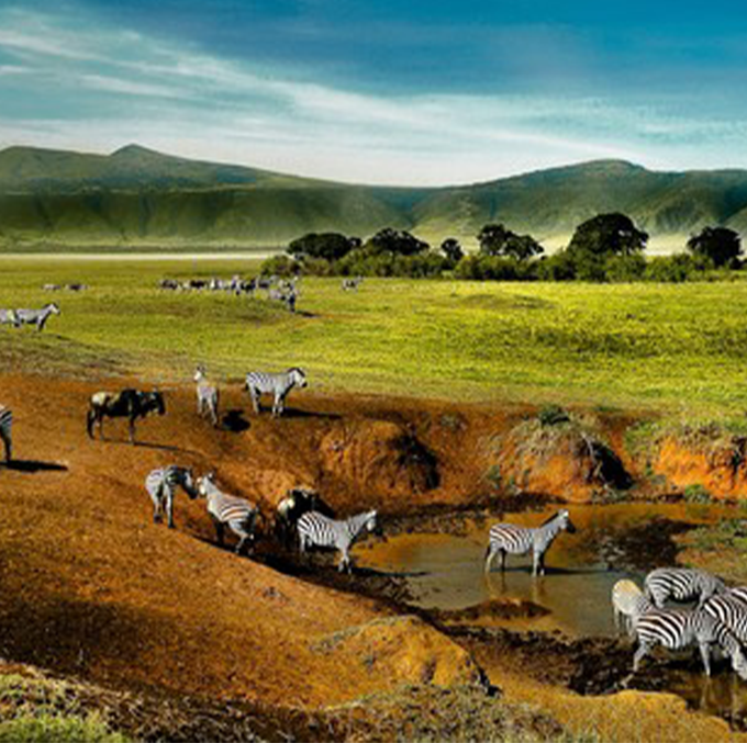 The-Ngorongoro-crater